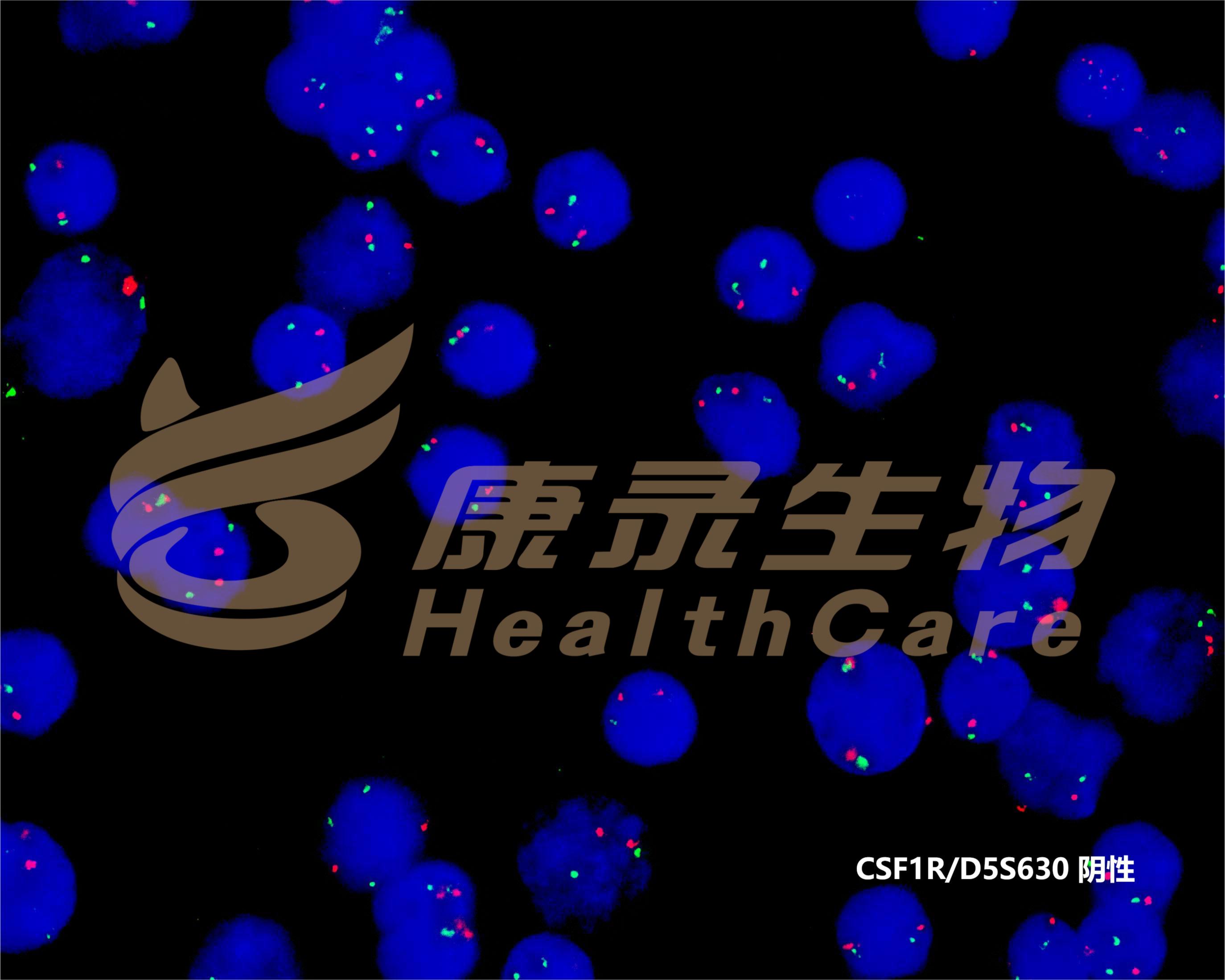 中国·拉斯维加斯(3499·官方认证)网站-Officialwebsite